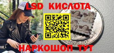 прущие крисы Кандалакша