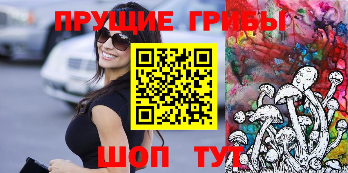 Курчалой  Галлюциногенные грибы Psilocybe  купить наркоту  Псилоцибиновые грибы мухоморы  Вход с VPN 