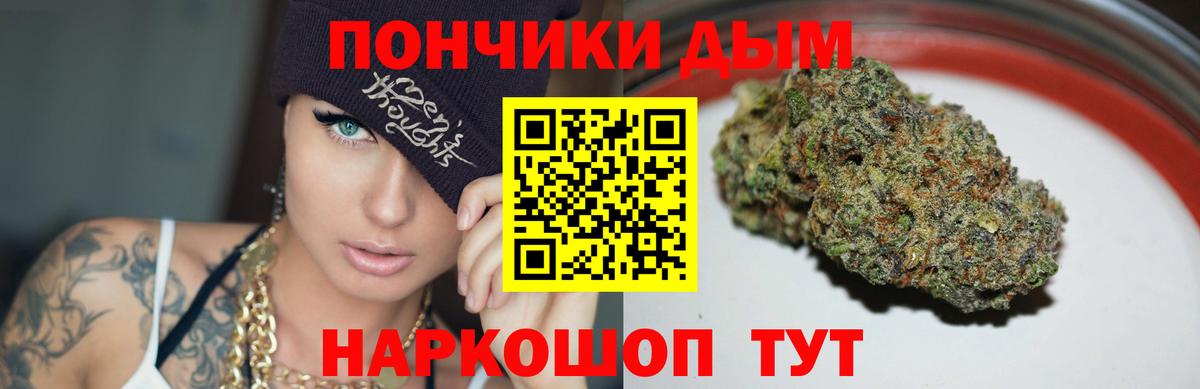Каннабис сатива Курчалой